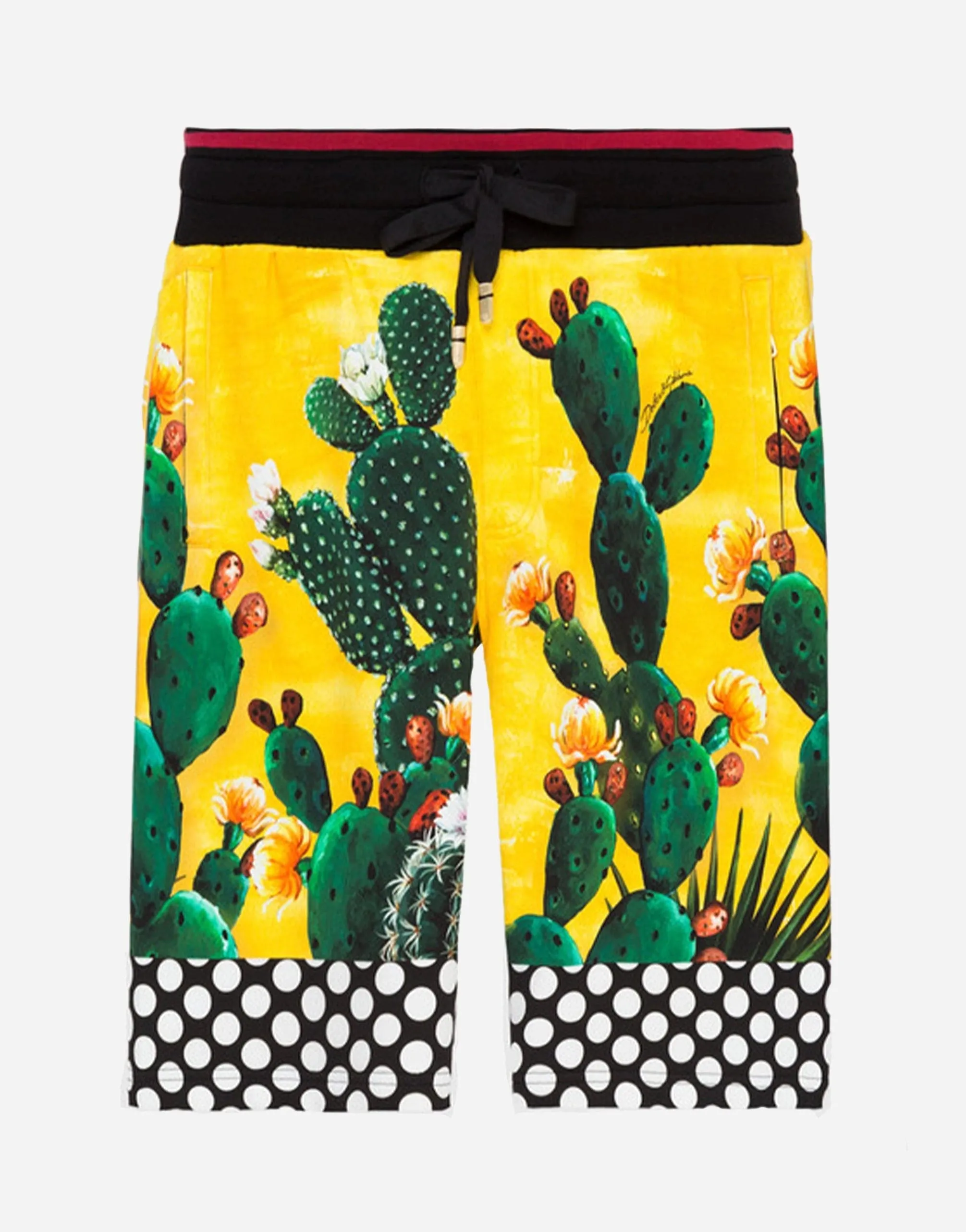 Cactus-Print Cotton Shorts