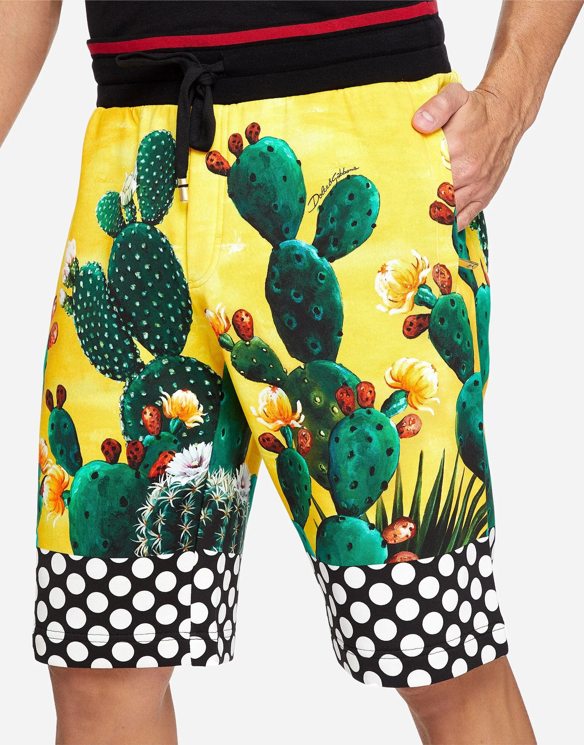 Cactus-Print Cotton Shorts