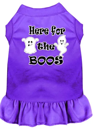 Here For The Boos Screen Print Dog Dress Purple 4x (22)