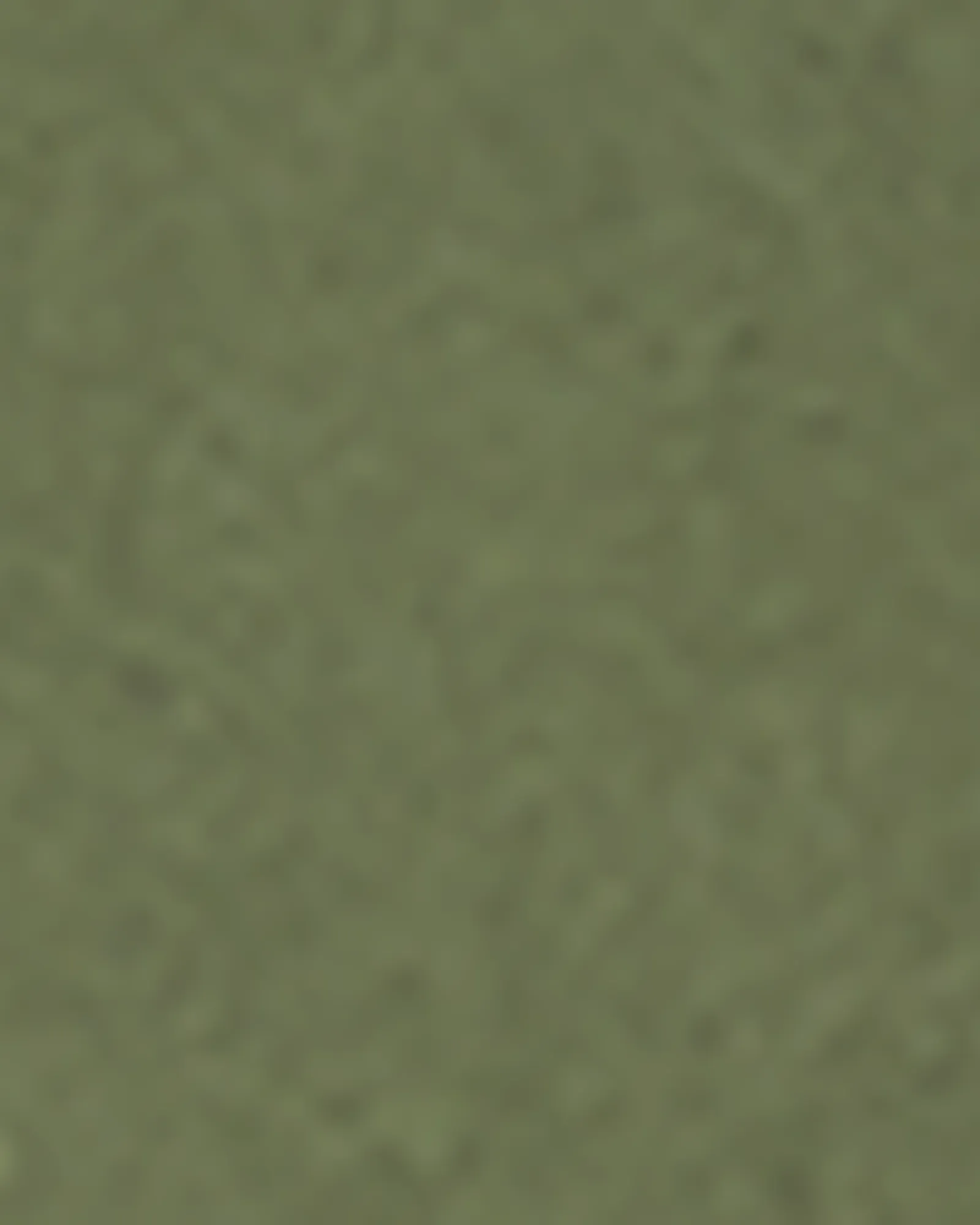 Maci Featherweight Long Sleeve Top | Olive Green